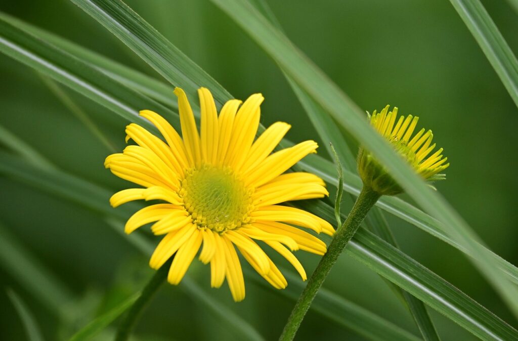 ワキガ対策として夏のフェスで実践すべきポイントは？