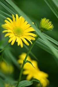 ワキガ対策として夏のフェスで気を付けるべきポイントは？