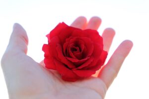 ワキガ対策に最適な洗濯洗剤はどれがおすすめ？