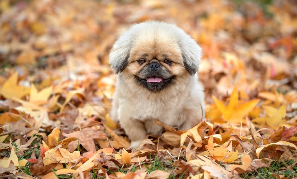 更年期に悩む女性のためのワキガ対策は？