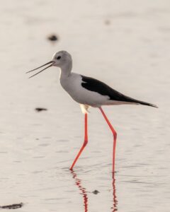 生理中のワキガ対策はどうすればいい？
