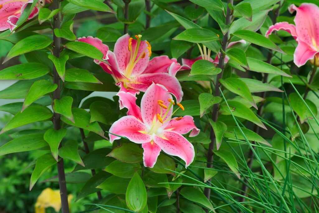 掛け布団の臭いを解消するための効果的な方法は？