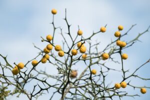 ミラドライの副作用は本当にあるのか徹底解説しますか？