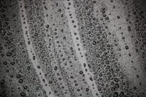 ワキガの女性が耳垢が湿ってる場合の対処法は？