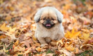 ワキガの症状で受診する際には何科を選べばいいの？