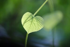 高校生のためのワキガ対策はどうすればいい？