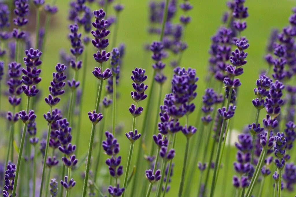 ワキガと香水が混ざる時の効果的な対策は？