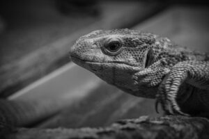 ワキガ対策に最適なデオドラントと石鹸のおすすめは？