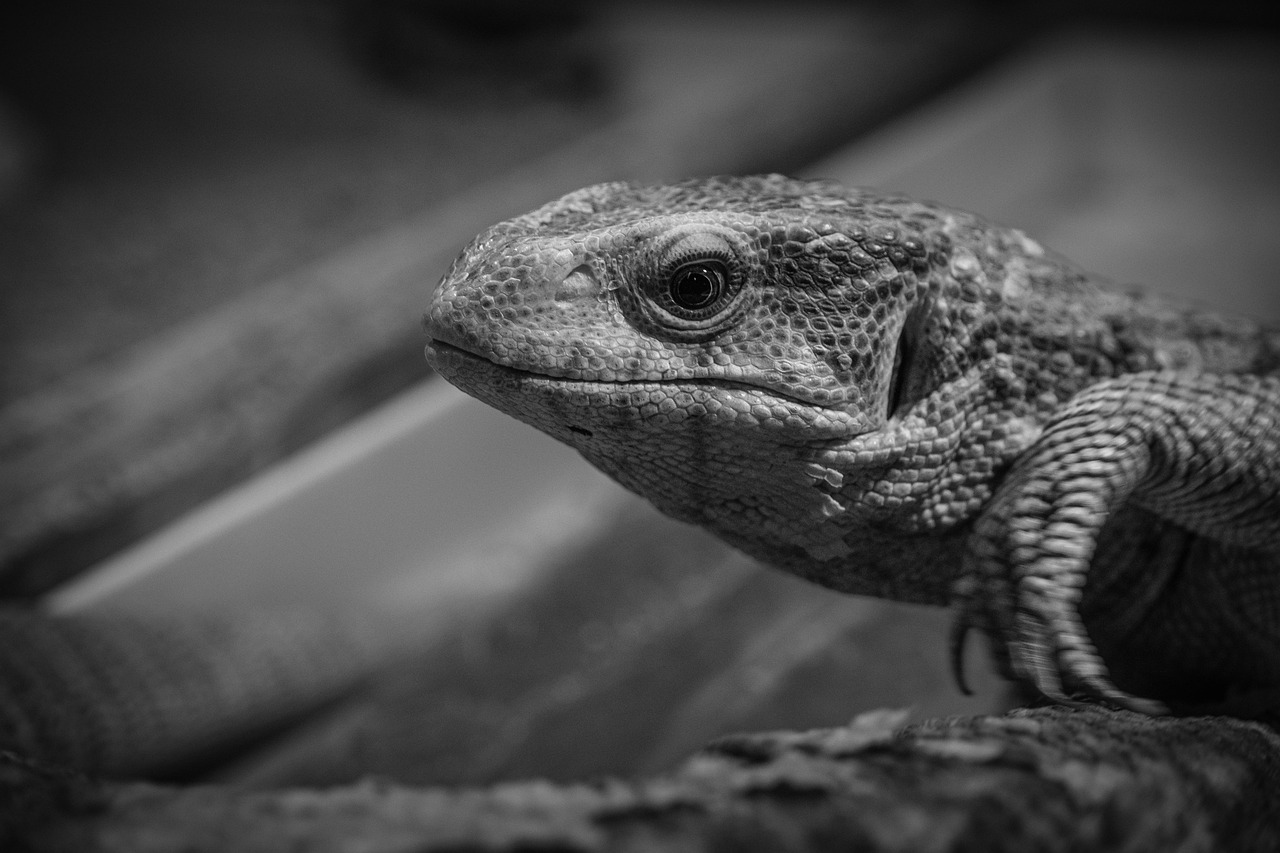 ワキガ対策に最適なデオドラントと石鹸のおすすめは？