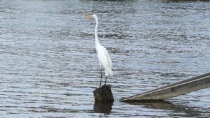 ワキガを市販商品でどこまで改善できるのか？