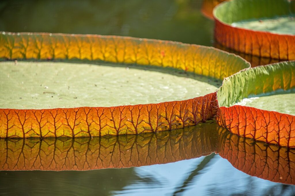 ワキガ対策に効果的な脇汗パッドがずれない方法は？