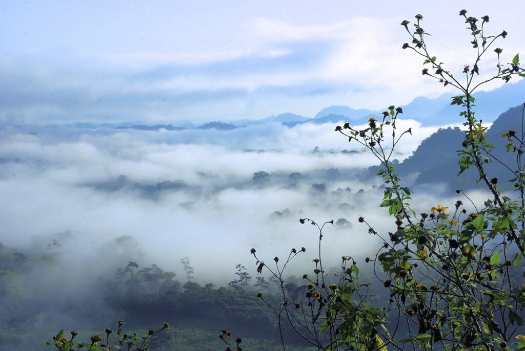 ワキガ対策に最適な汗拭きシートと制汗剤の効果は？