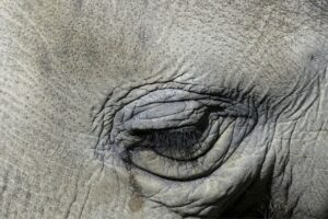 女性のワキガ対策に効果的な毛穴ケア方法は？