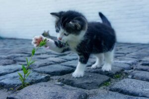 女性のワキガは産後に臭いが強くなるのは本当ですか？